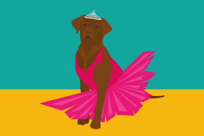 Bailey the Ballerina